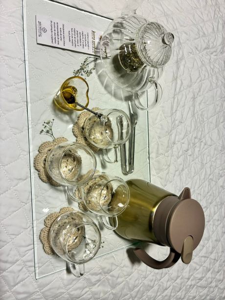 米丘林酒店-旅行者