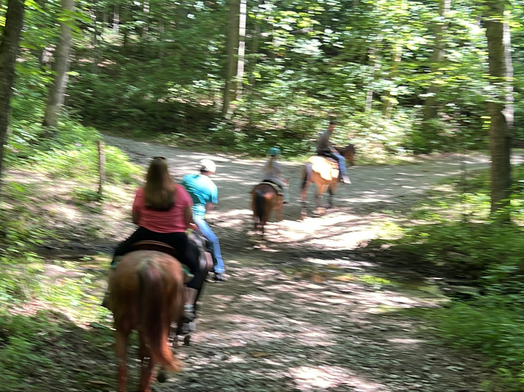 Double J stables & Campgrounds-Mammoth Cave必去景点