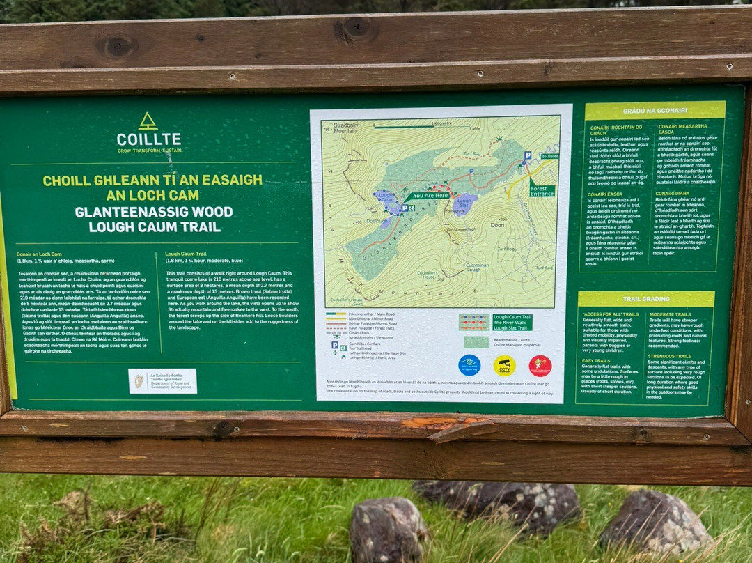 Glanteenassig Wood-Castlegregory必去景点