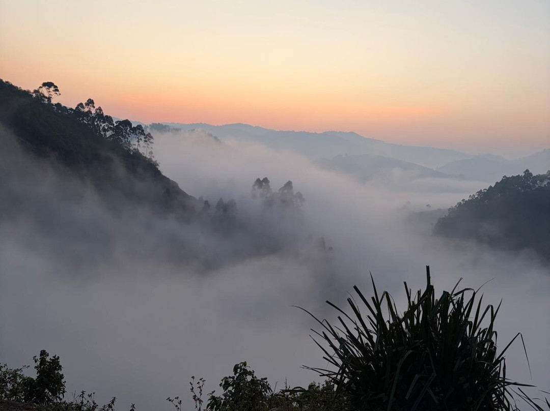 Nkuringo Safaris-布恩迪难以穿越的国家公园必去景点