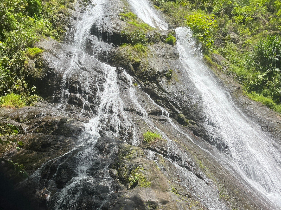 Manakin Waterfalls Nature Reserve.-Tilaran必去景点