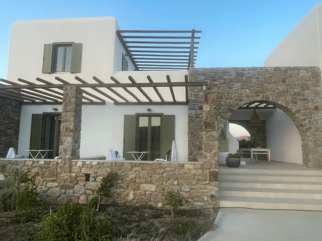 Alirene Mykonos