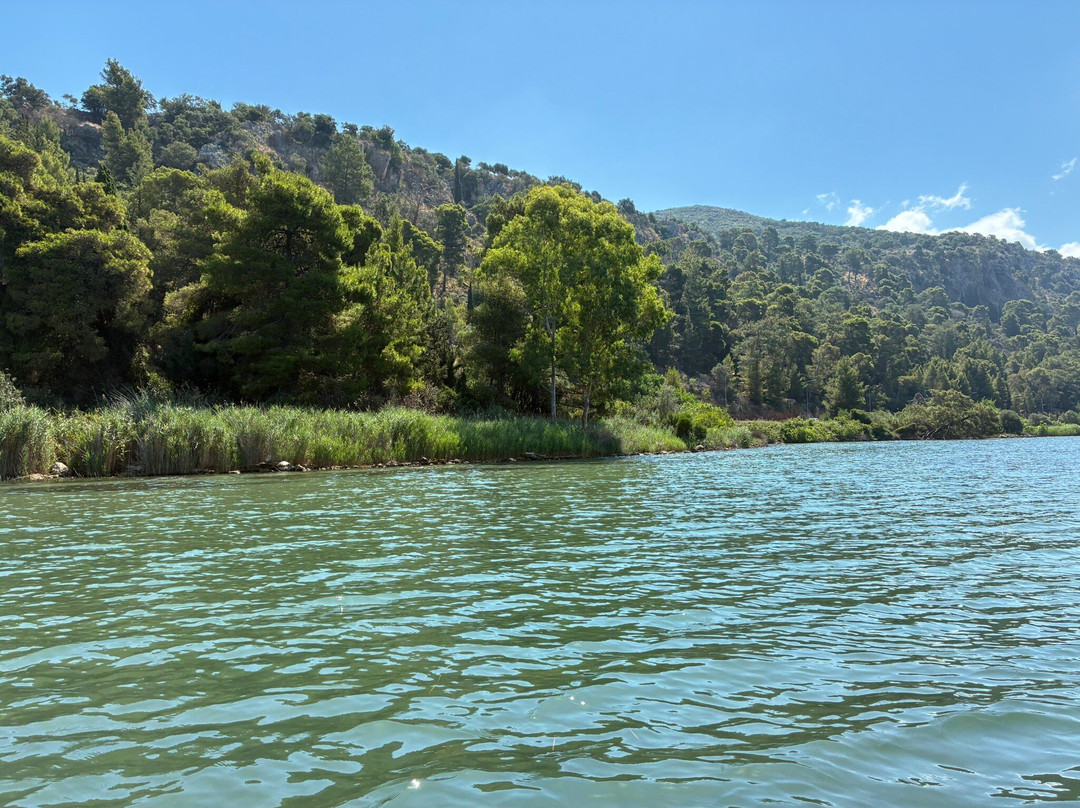Argostoli Lagoon Activities-阿尔戈斯托利翁必去景点