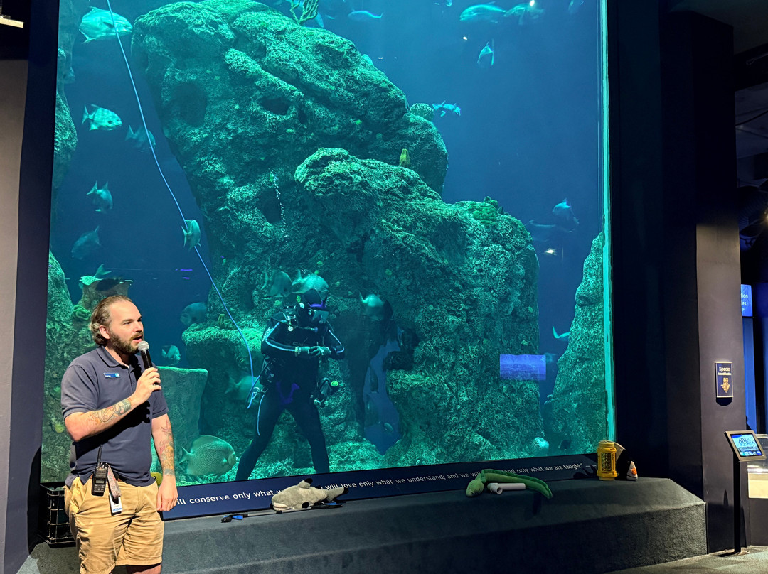 South Carolina Aquarium-查尔斯顿必去景点