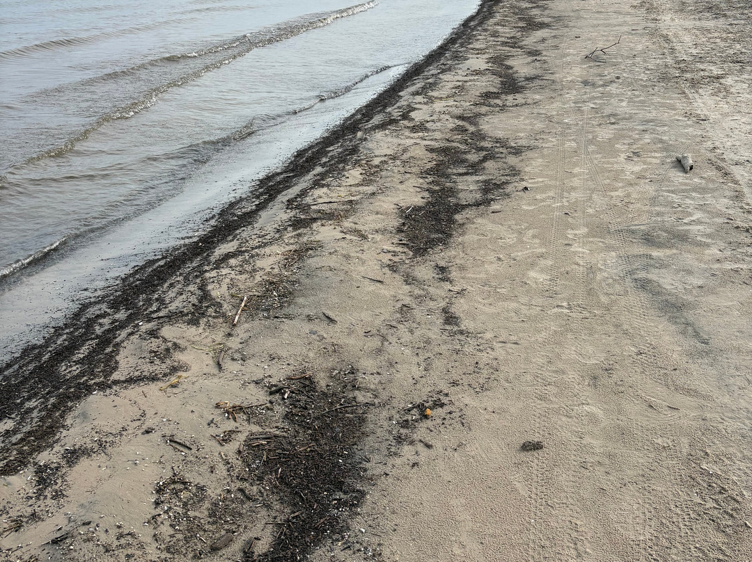 Wasaga Beach Provincial Park-瓦沙加海滩必去景点