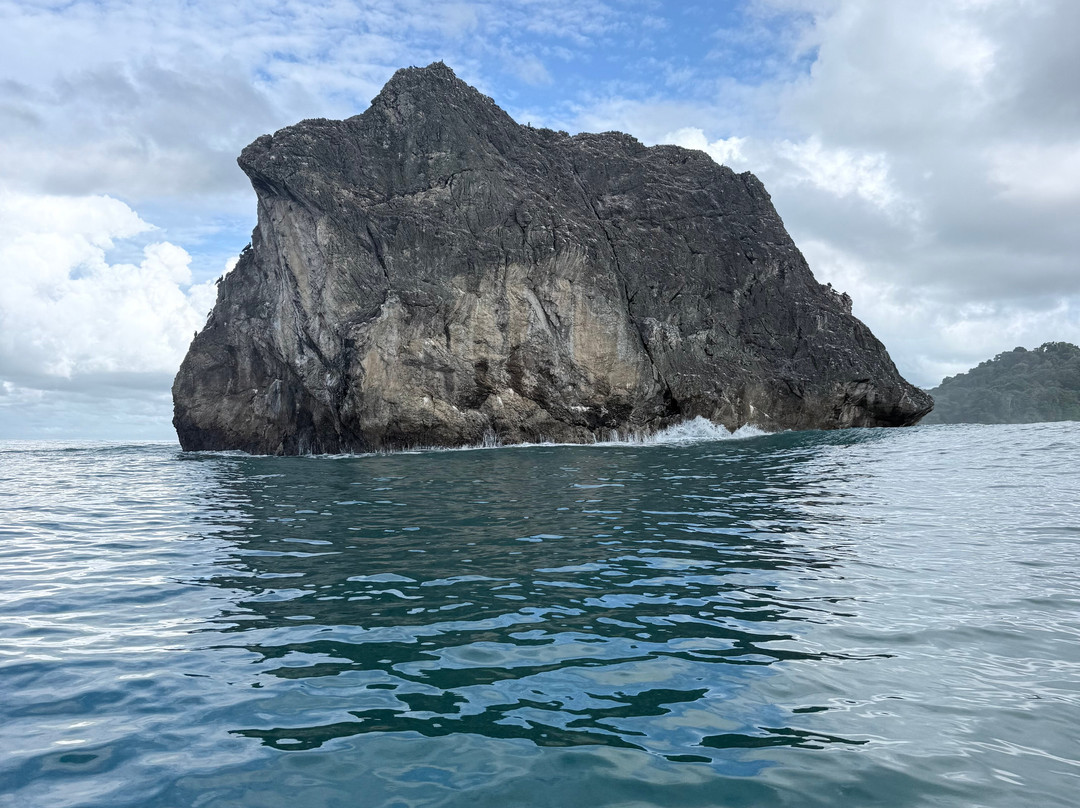 Jaguar Corcovado Tours-希门尼斯港必去景点