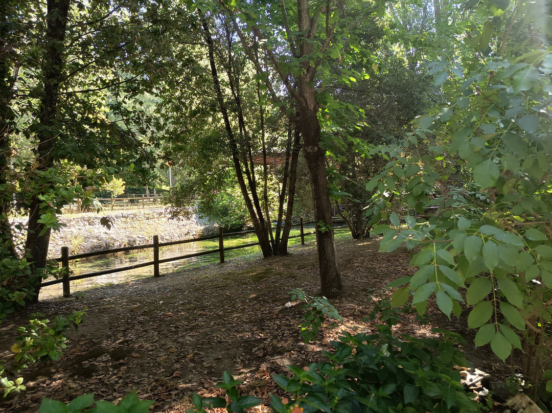 Parco del Grassano-San Salvatore Telesino必去景点