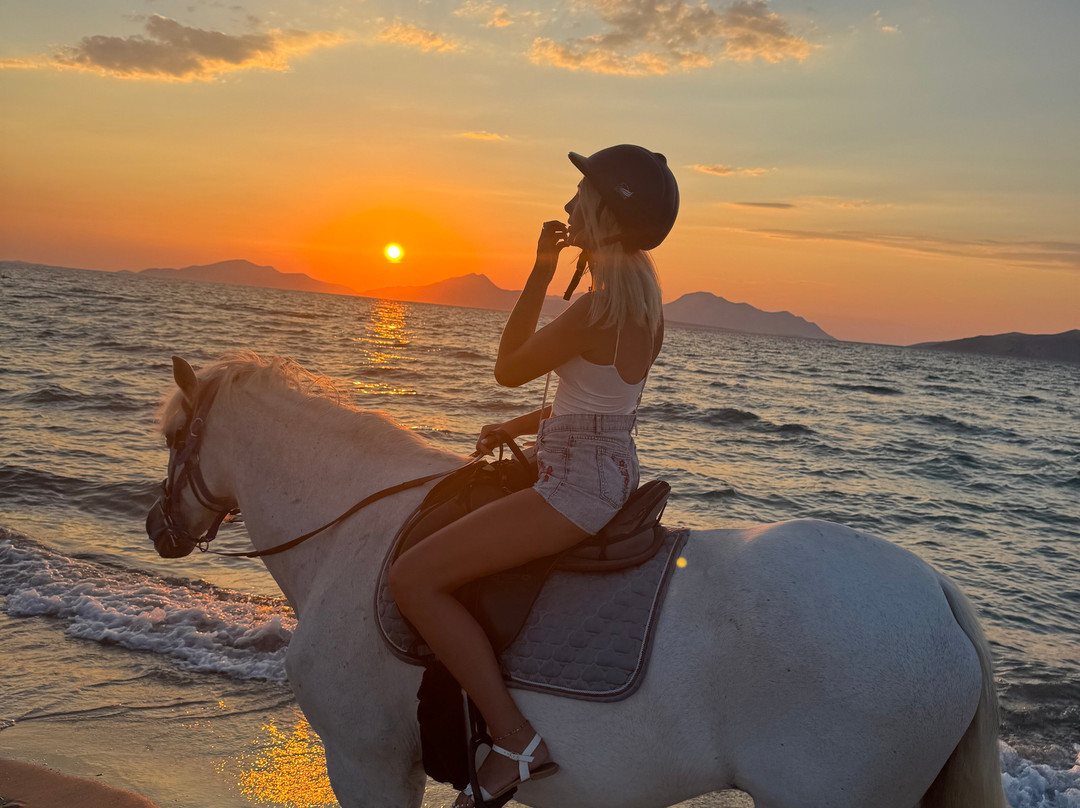 Erika's Horse Farm Kos-Marmari必去景点