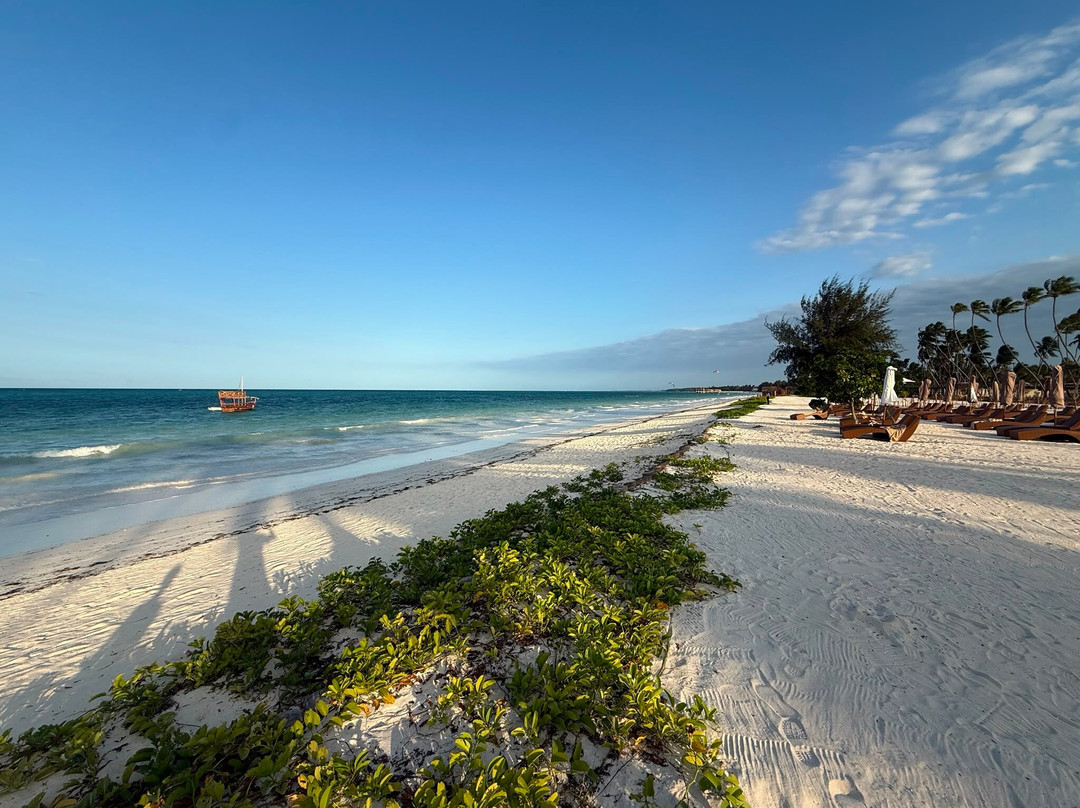 Anaya Zanzibar