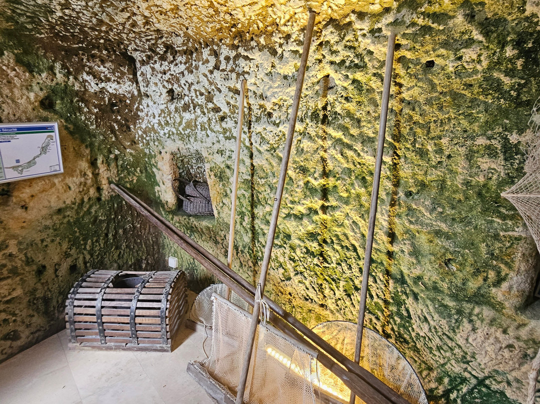 Grottes du Régulus-Meschers-sur-Gironde必去景点