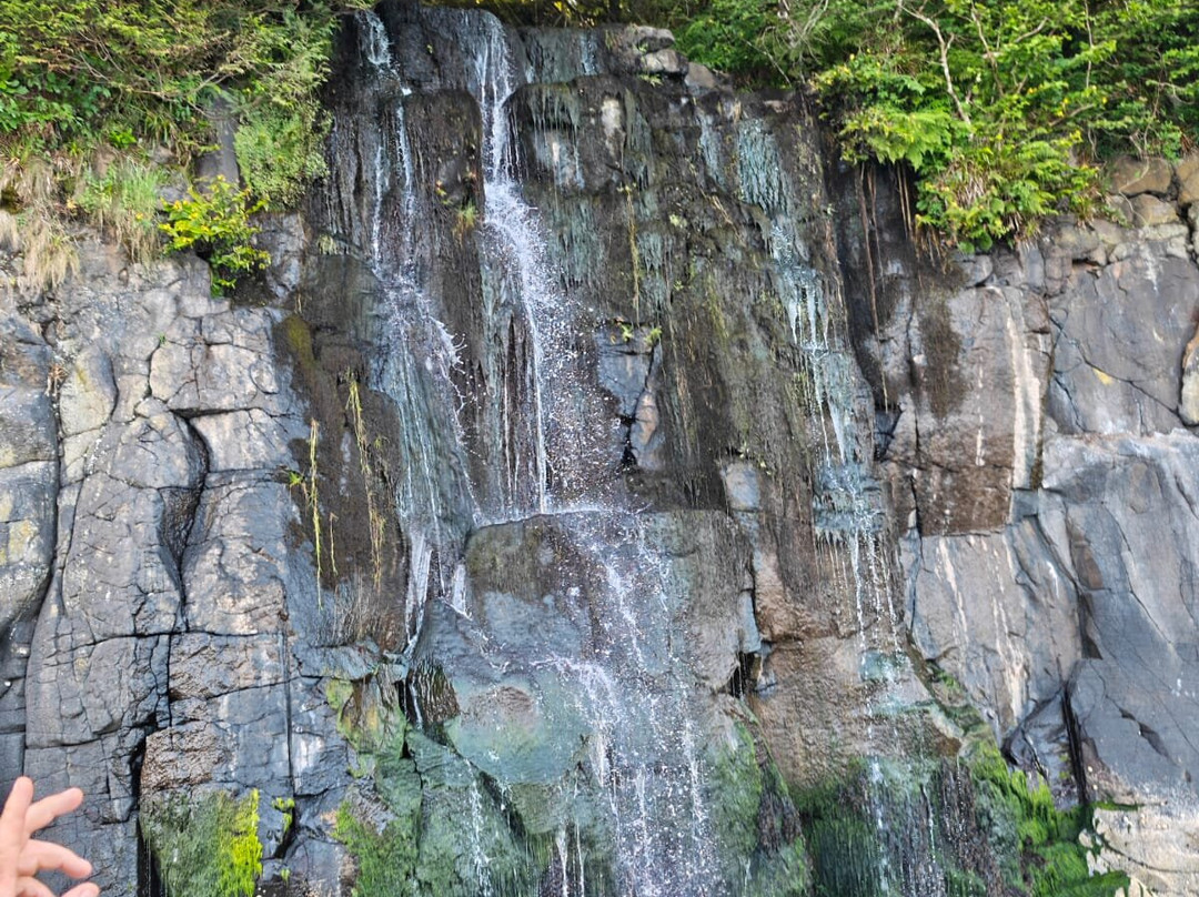 Ardnamurchan Charters-Acharacle必去景点