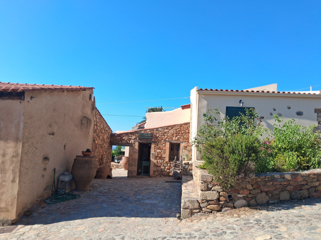 Olive Tree Museum of Vouves-Vouves必去景点