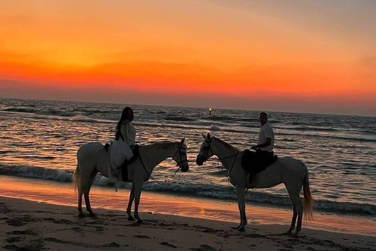 Bali Horse Swimming at the Beach