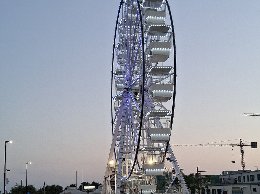 Simon主图