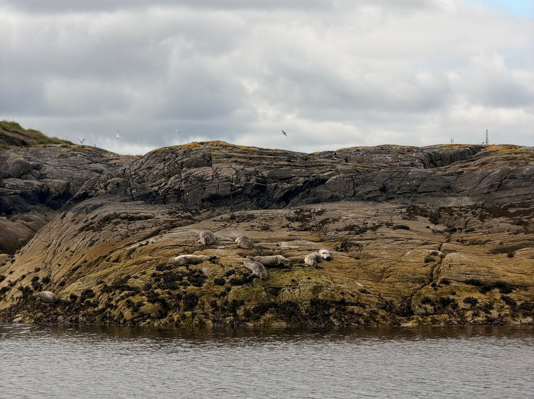 Western Isles Cruises-Mallaig必去景点