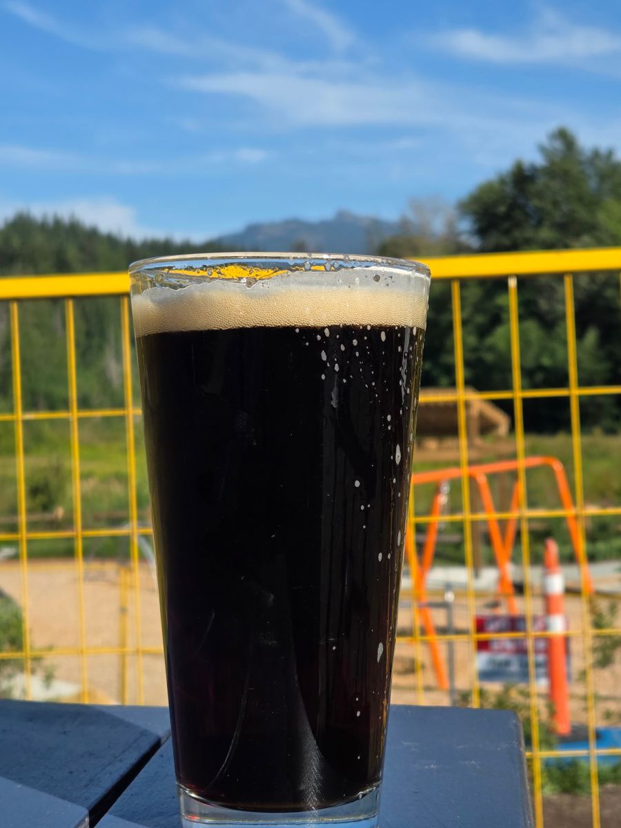 斯阔米什行政套房度假酒店-旅行者