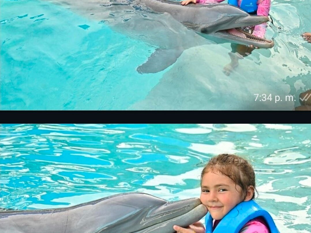 互动式水族馆-坎昆必去景点