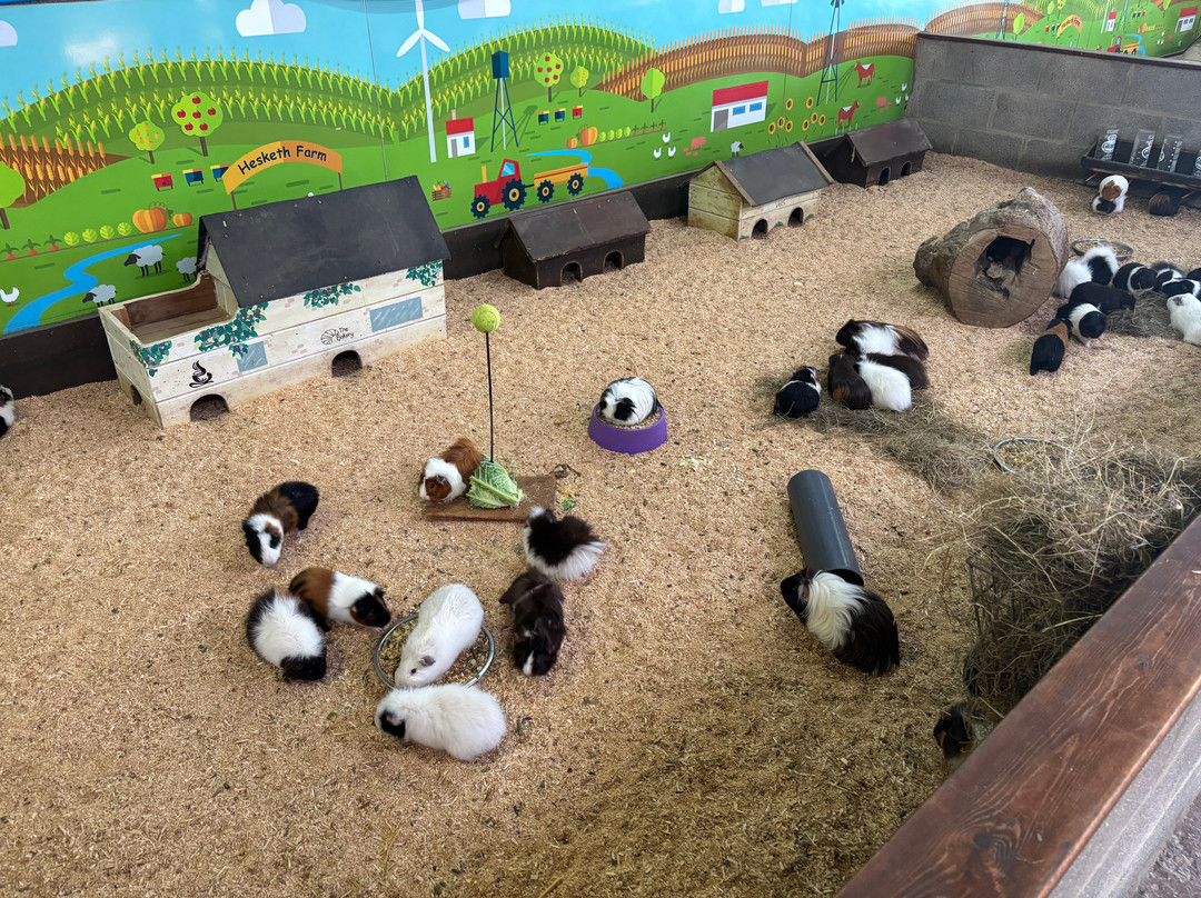 Hesketh Farm Park-斯基普顿必去景点
