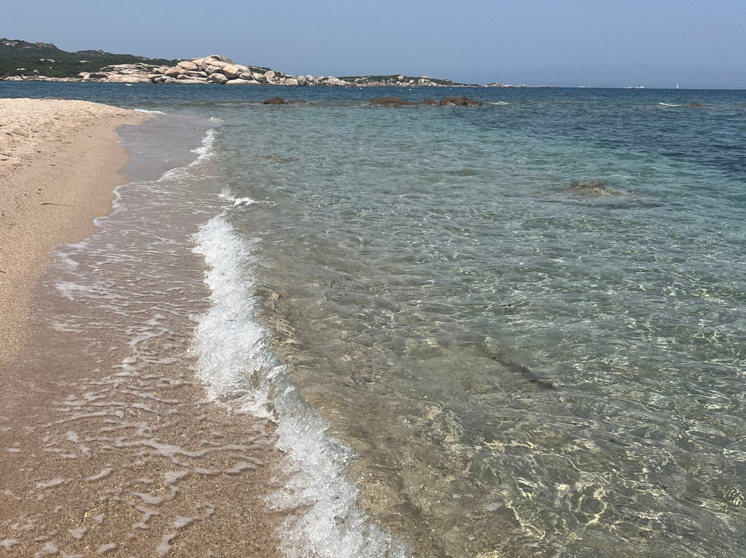 Spiaggia La Licciola-圣特雷莎加卢拉必去景点
