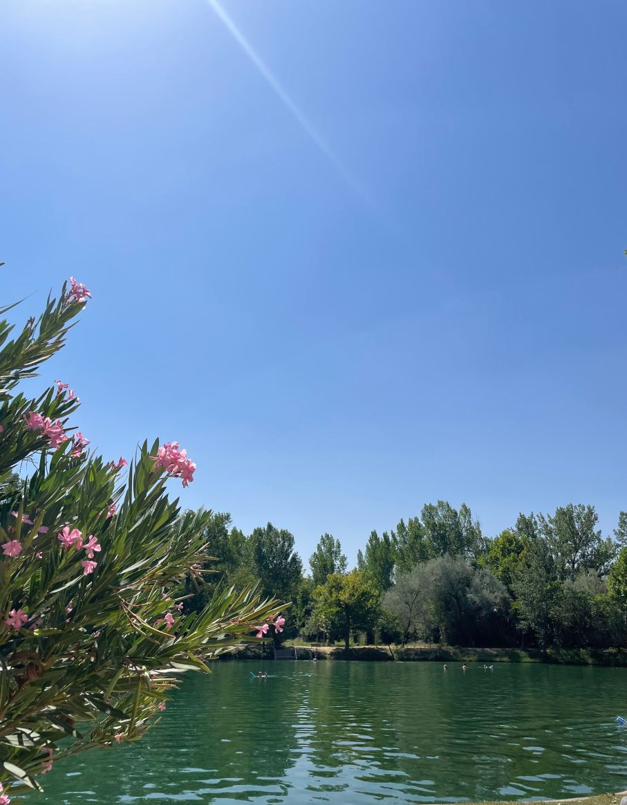 Hotel Parque Balneario Termas Pallares-旅行者
