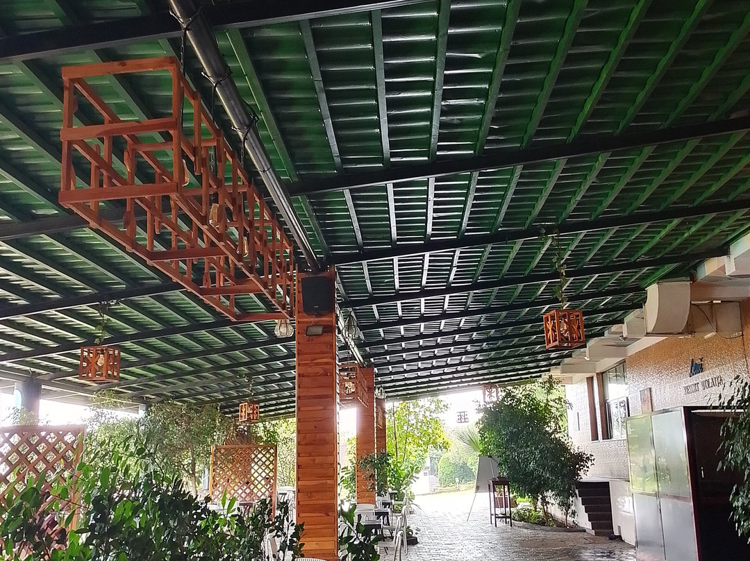 Lewi Resort Wolaita主图