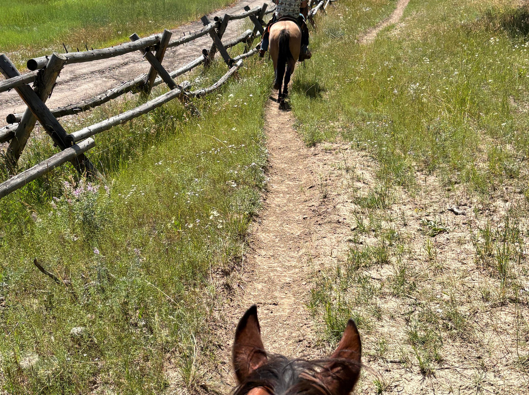 Yellowstone Horses - Eagle Ridge Ranch-艾兰帕克必去景点