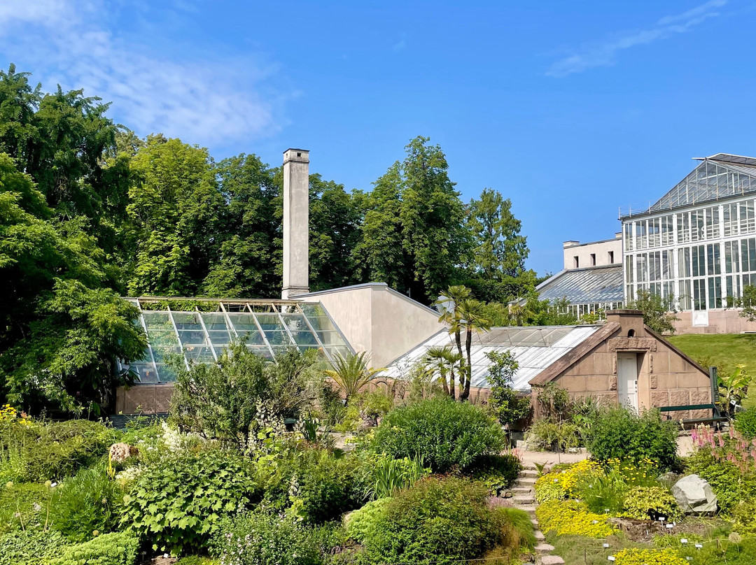 Botanical Garden-奥斯陆必去景点