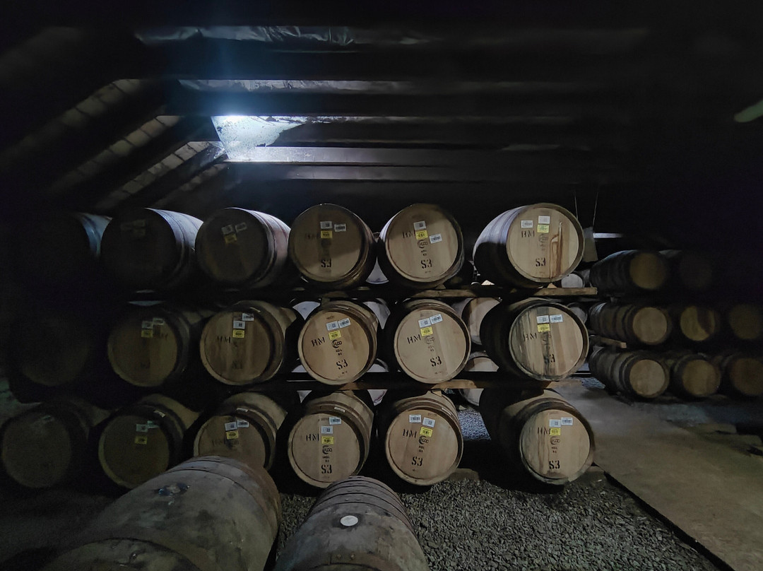 Highland Park Distillery-柯克沃尔必去景点