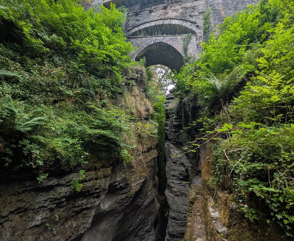 Devil's Bridge Waterfalls-Devil's Bridge (Pontarfynach)必去景点