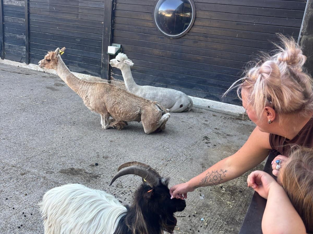 Whipsnade Zoo-邓斯特布尔必去景点