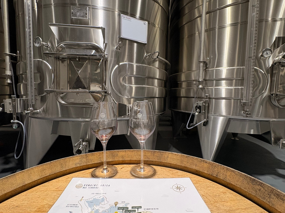 Domaine Arica-Loix必去景点