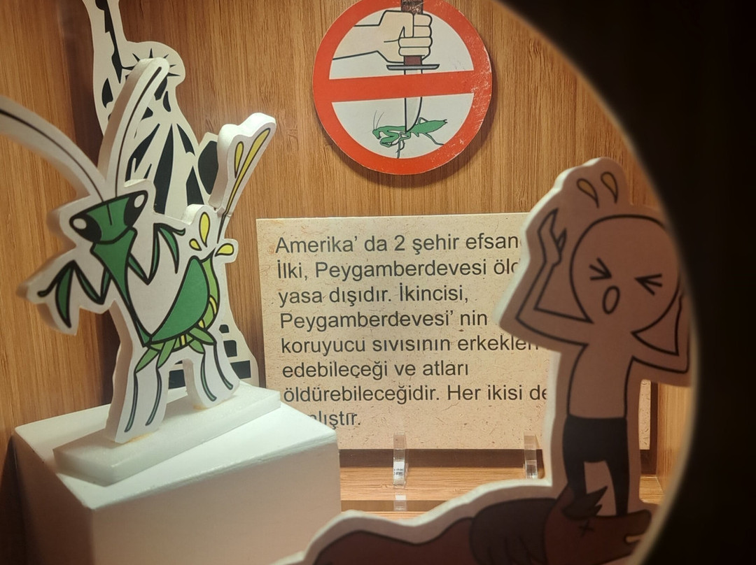 Konya Tropikal Kelebek Bahçesi-科尼亚必去景点