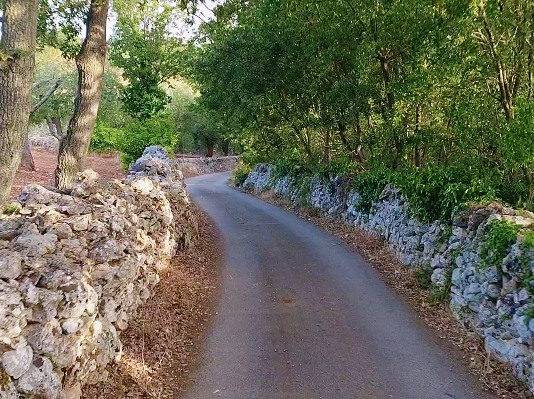 Trulli Sport Experience-阿尔贝罗贝洛必去景点