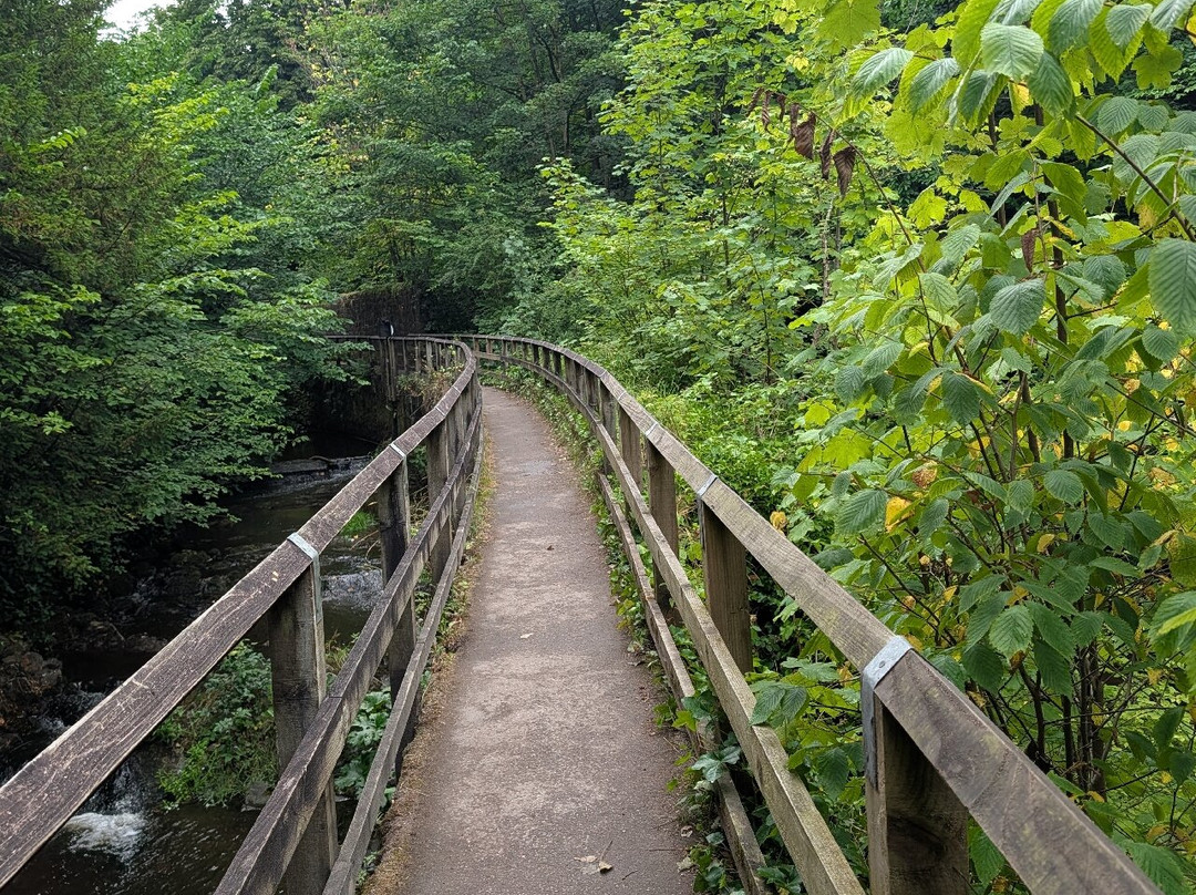 Skipton Castle Woods-斯基普顿必去景点