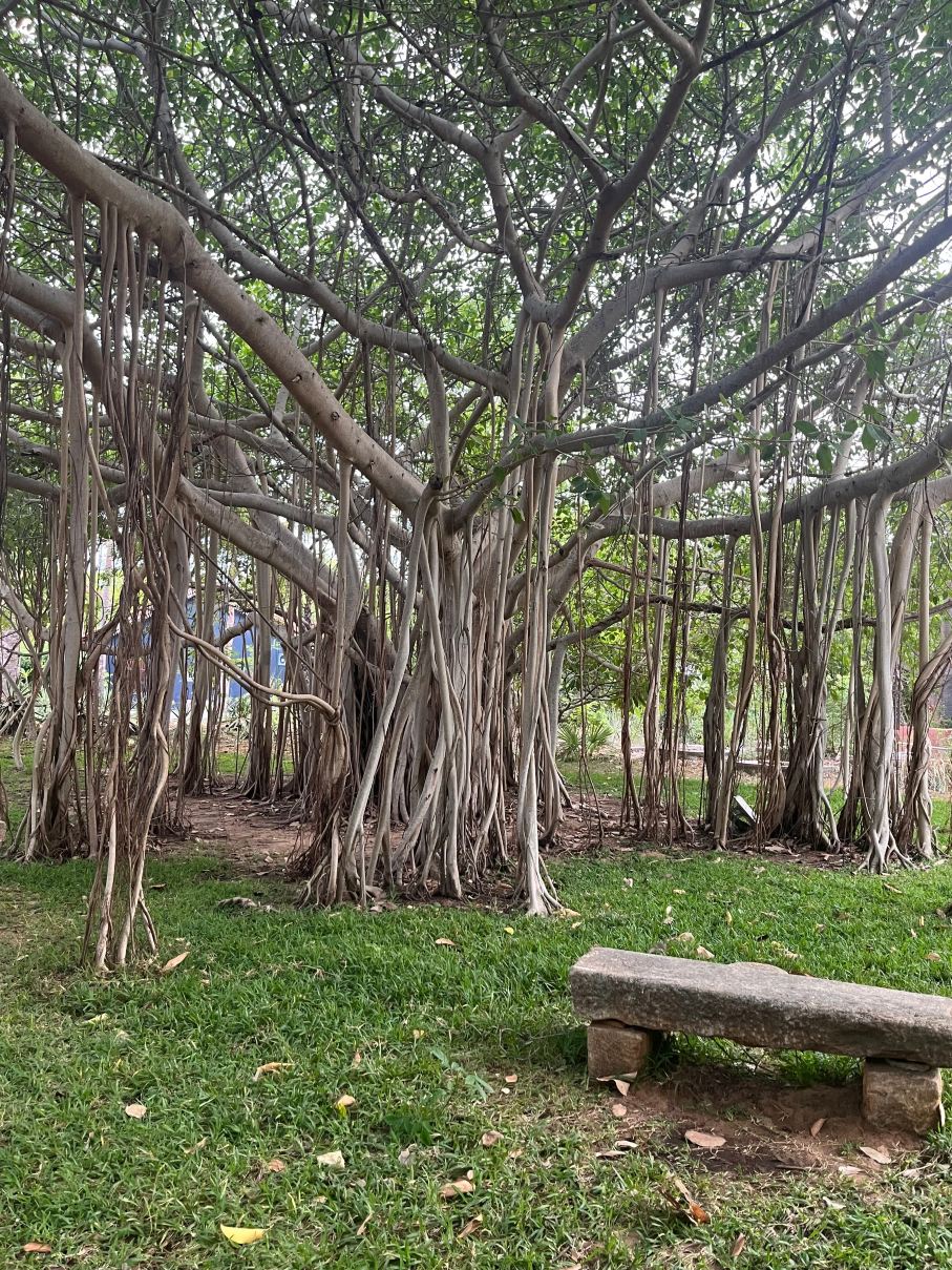 沙丘生态村海滩和温泉-旅行者