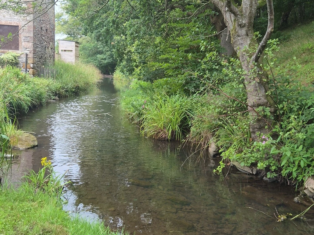 New Mills Trout Fishing Park-Brampton必去景点