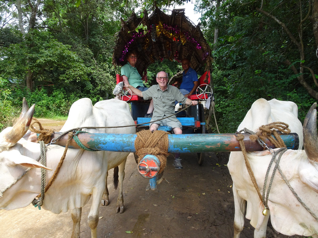 Ceylon Wanderlust Travels-Kiribathgoda必去景点