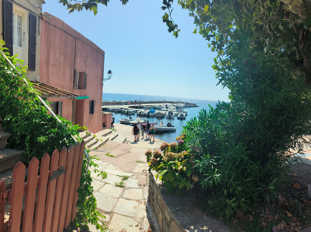 Port d'Erbalunga