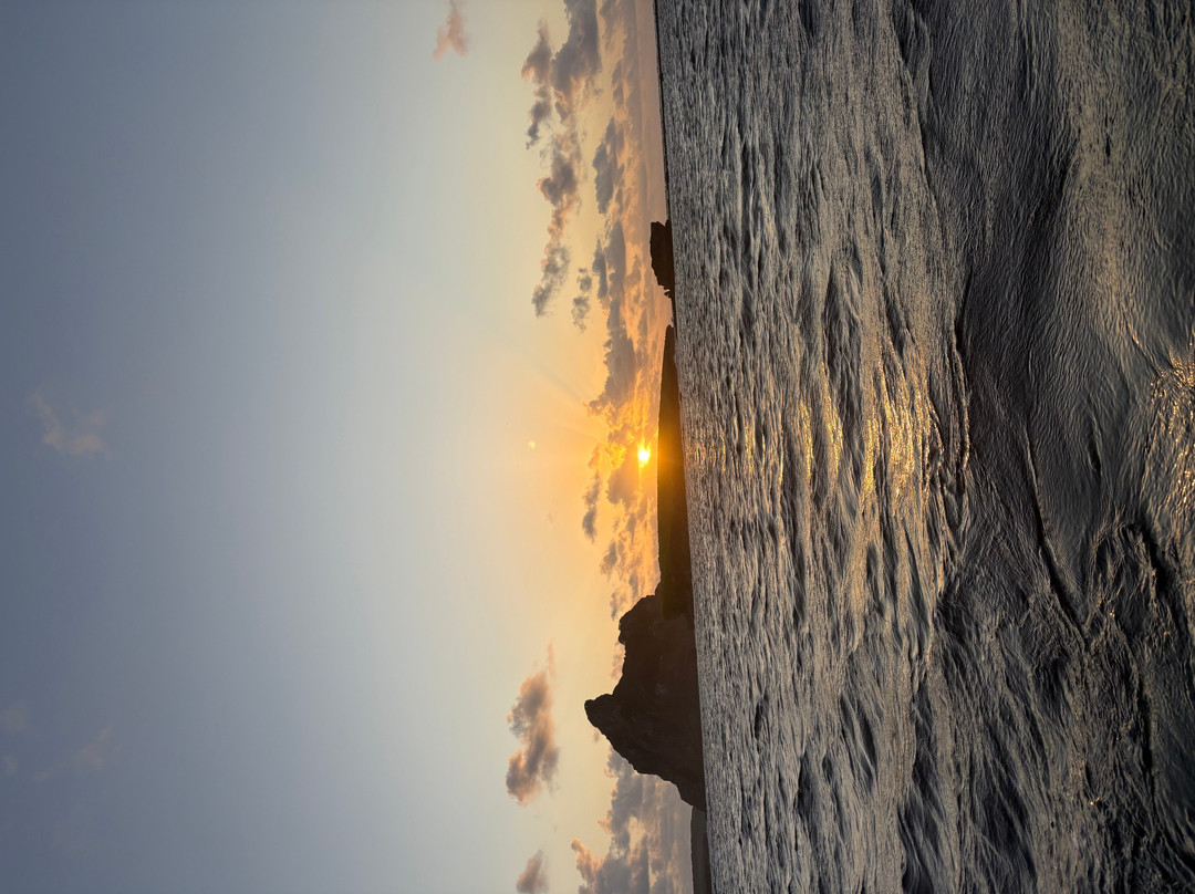 Noronha Surf Hoe