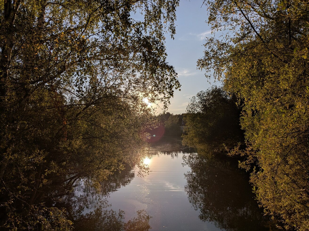 Wellington Country Park-雷丁必去景点
