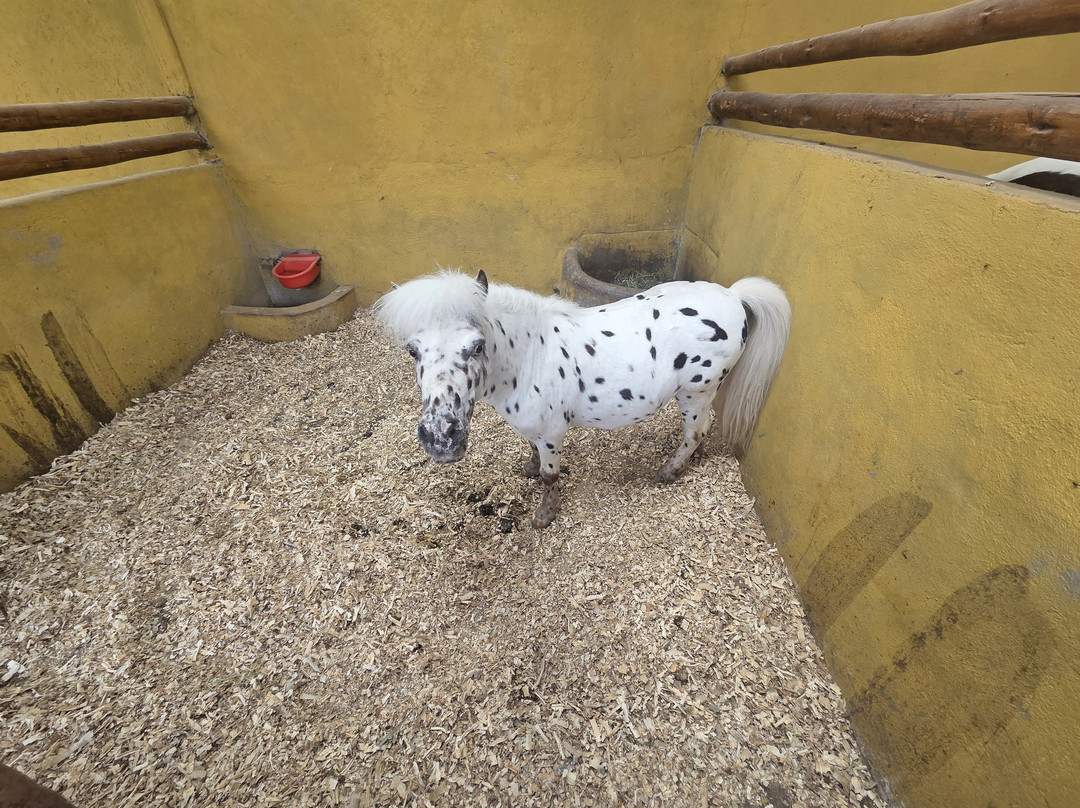 AnimalPark-巴尼奥斯必去景点