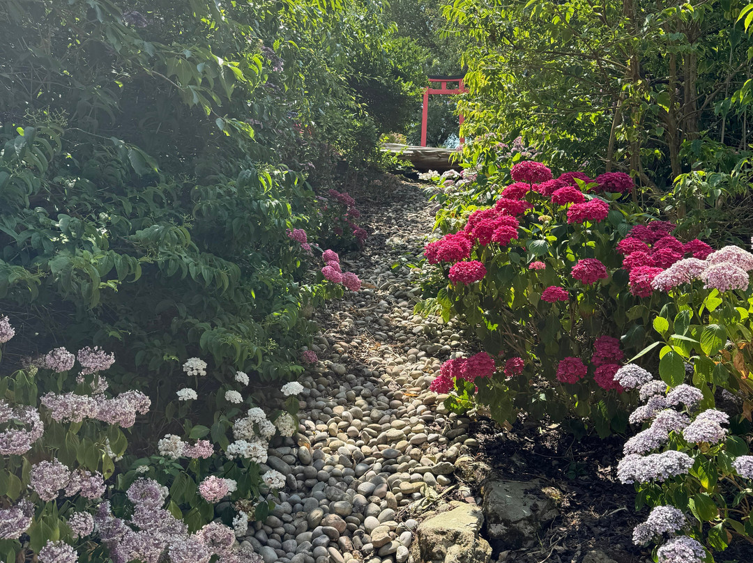 Ventnor Botanic Garden-文特诺必去景点