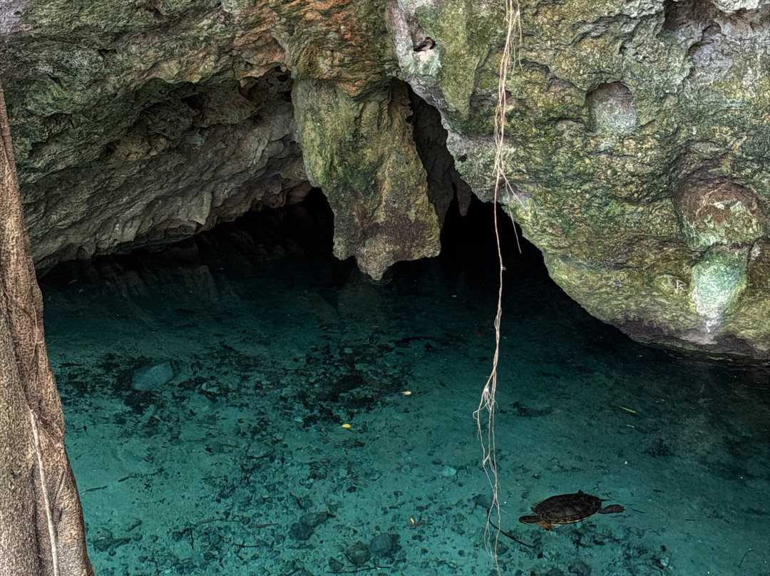 Gran Cenote-图伦必去景点