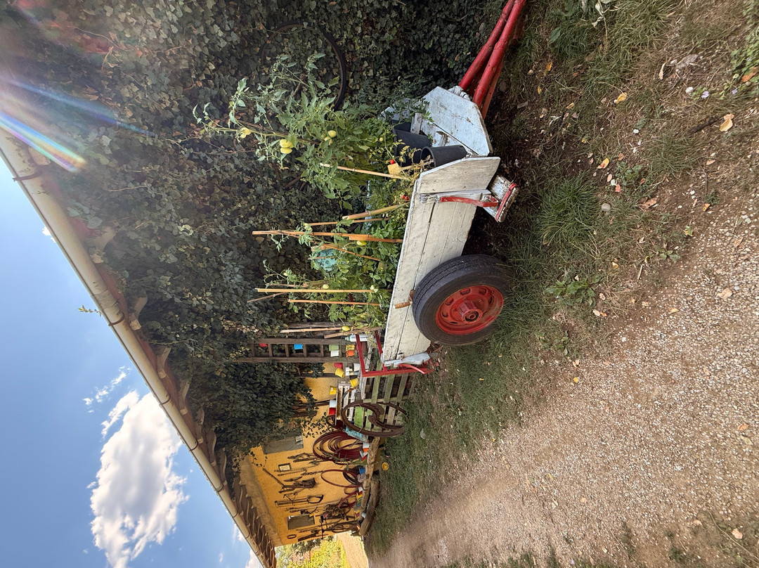 Agriturismo Casa Bistino主图