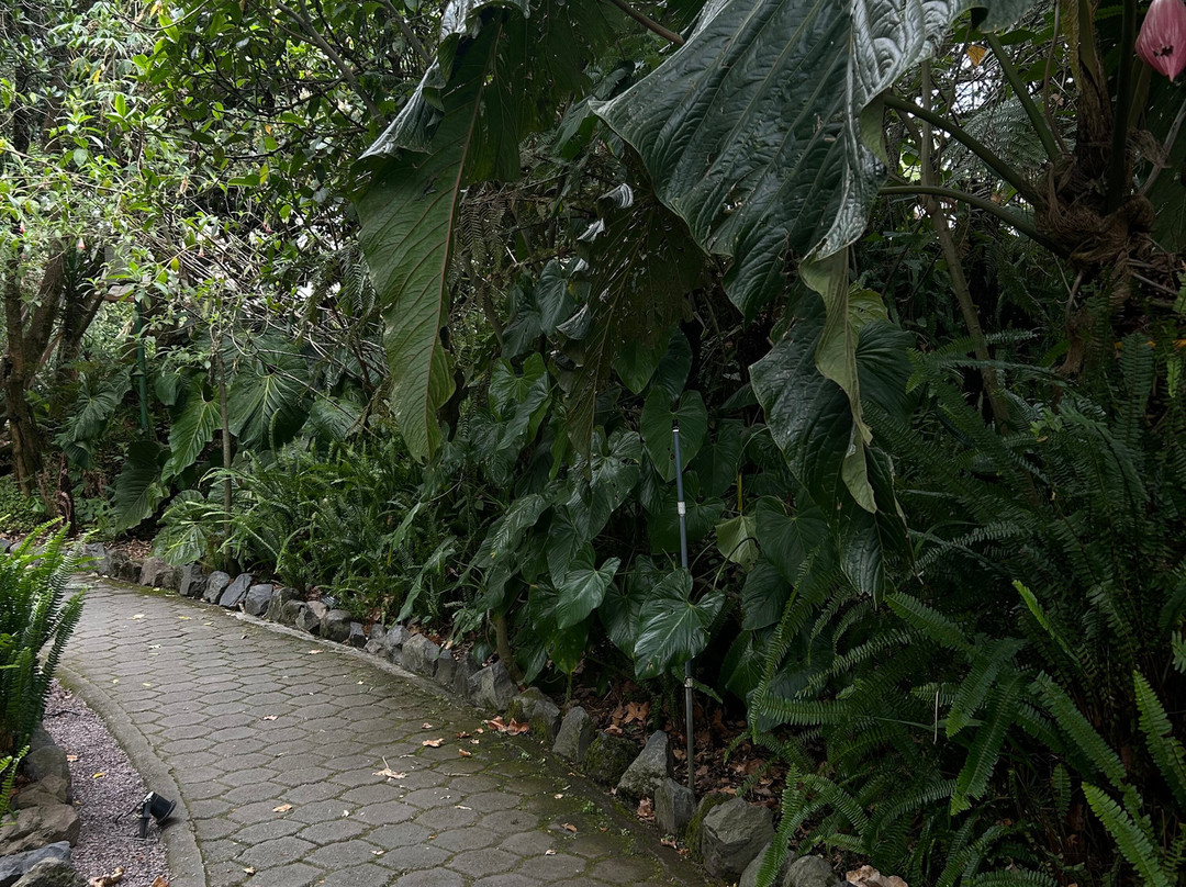Jardín Botánico de Quito-基多必去景点