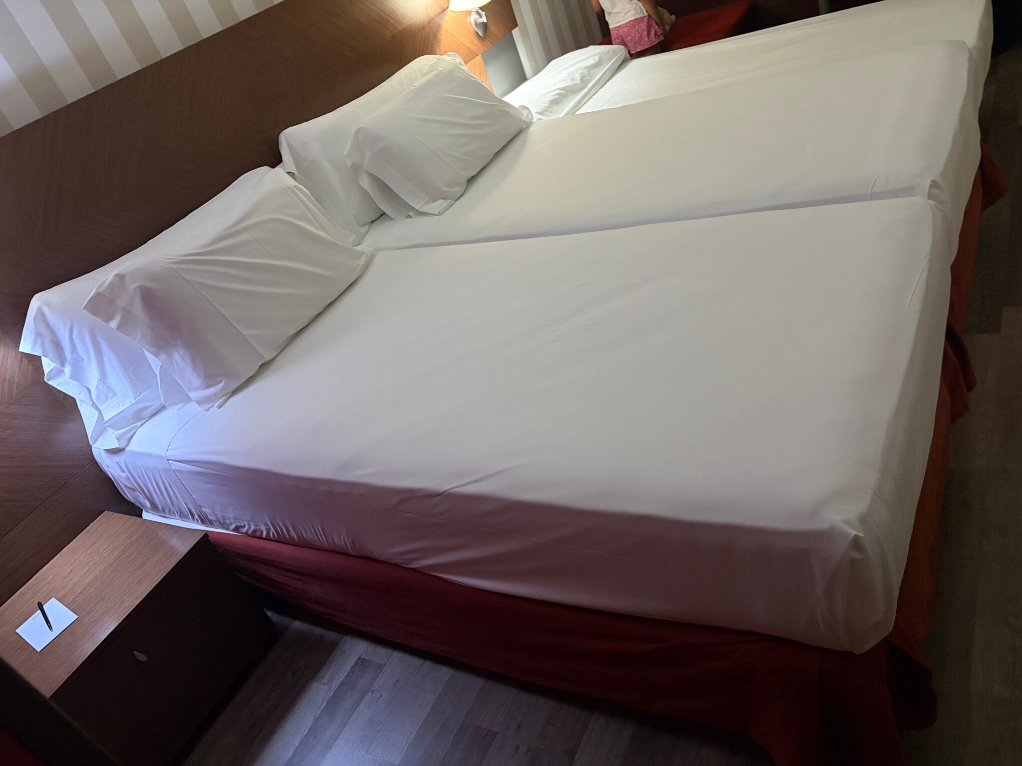 拉斯阿特斯酒店-旅行者