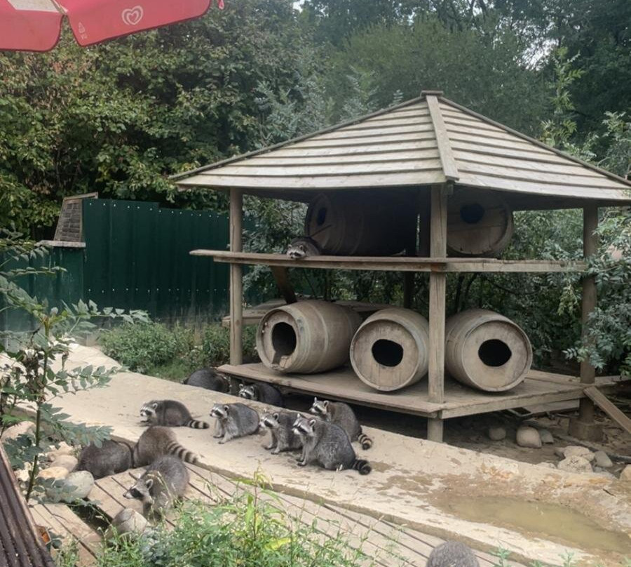Zoo de Mescoules-Mescoules必去景点