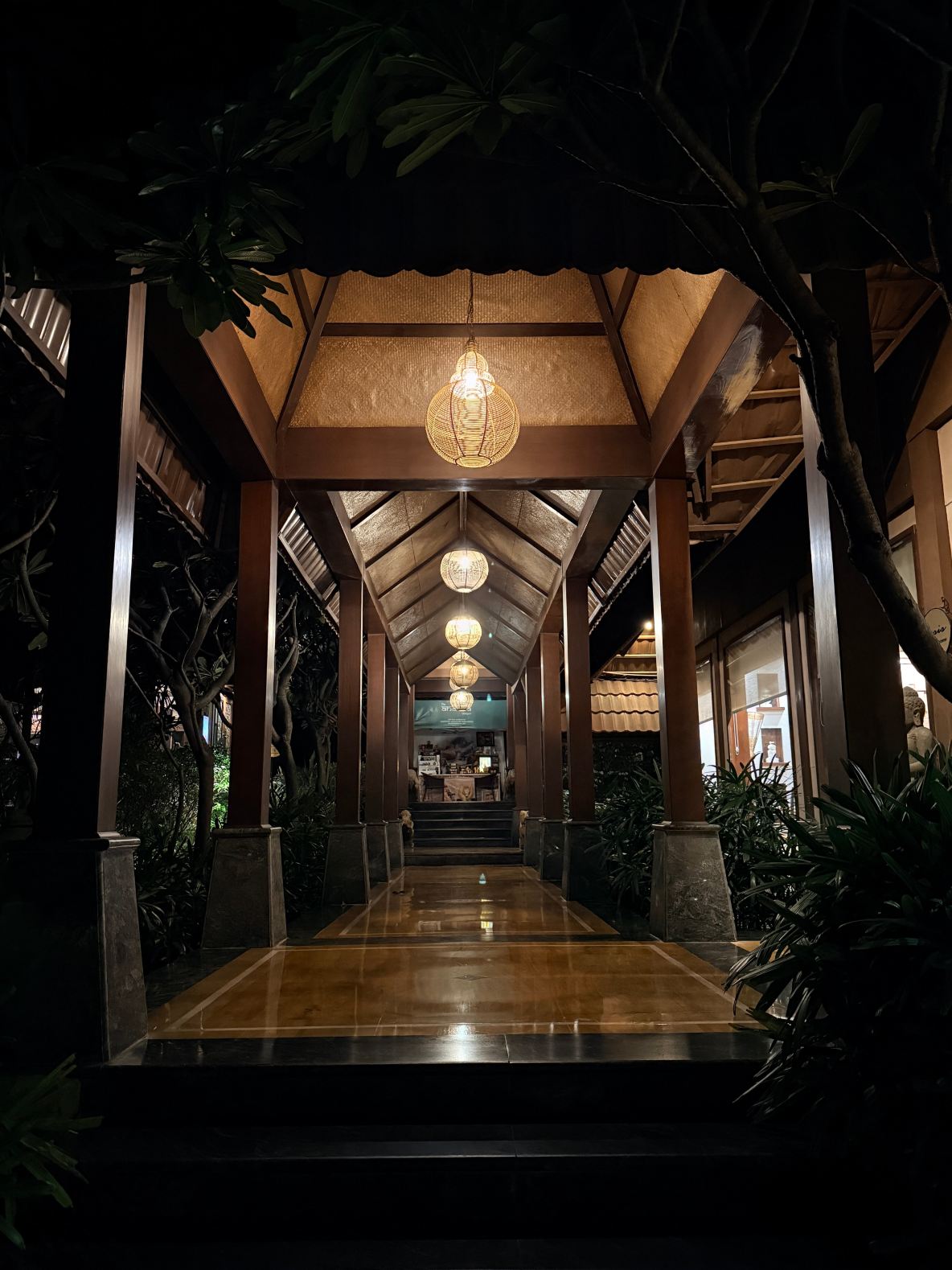 乌代布尔阿南塔酒店-旅行者