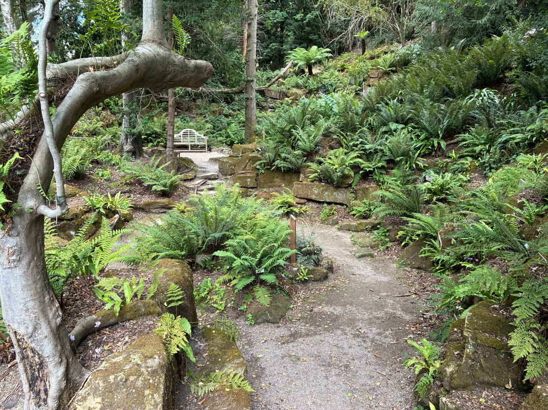 Riverhill Himalayan Gardens-Sevenoaks必去景点