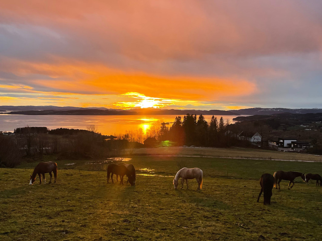 Inderøy Adventure-Inderoy Municipality必去景点
